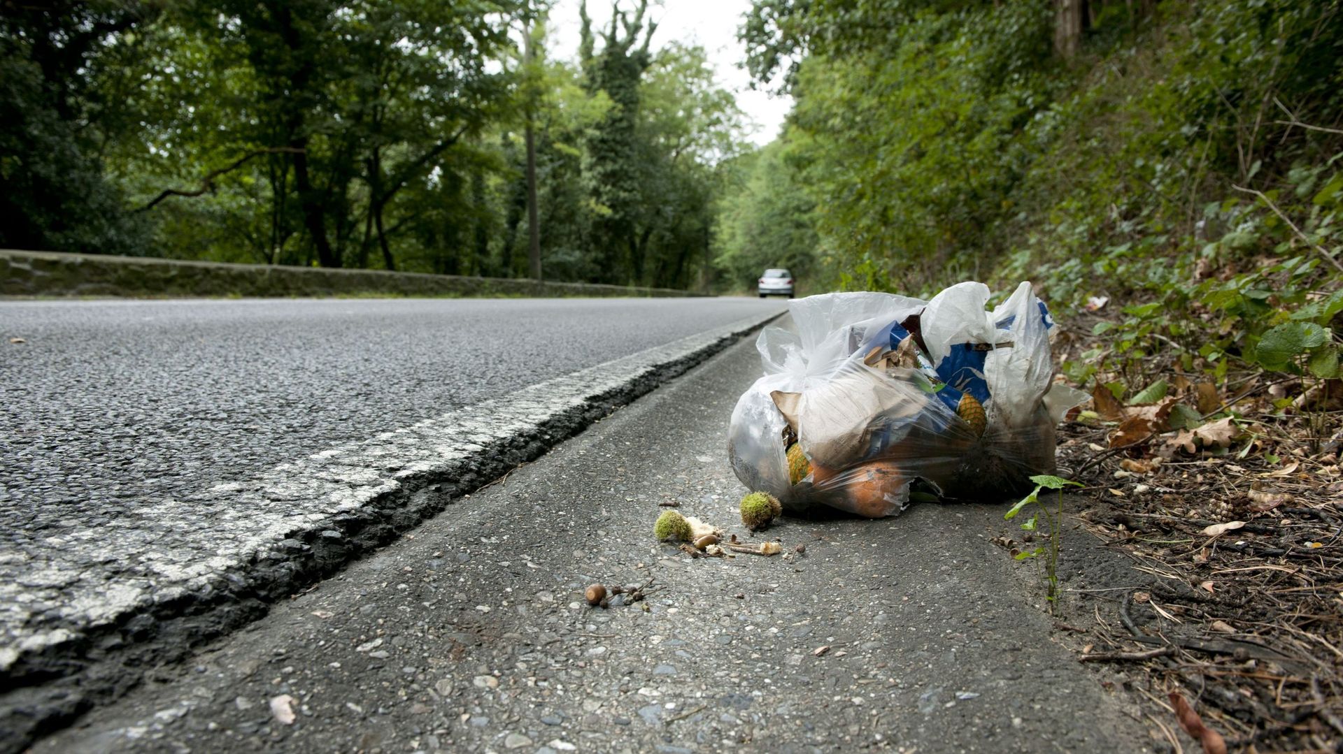 Des déchets le long d’une route