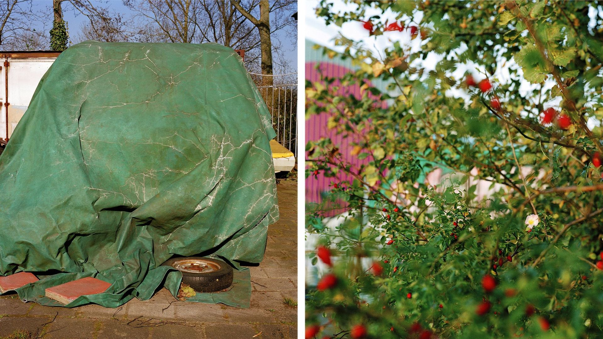 Jacquie Maria Wessels, Garage Stills & Fringe Nature