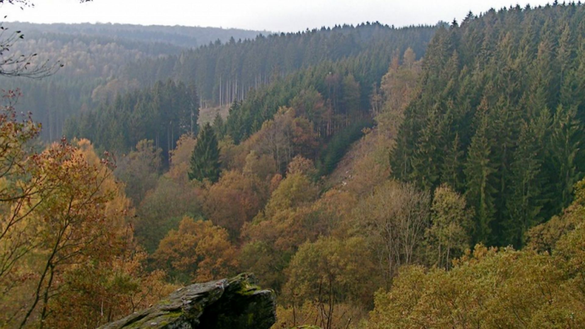 Des réserves naturelles et des forêts résilientes pour booster la