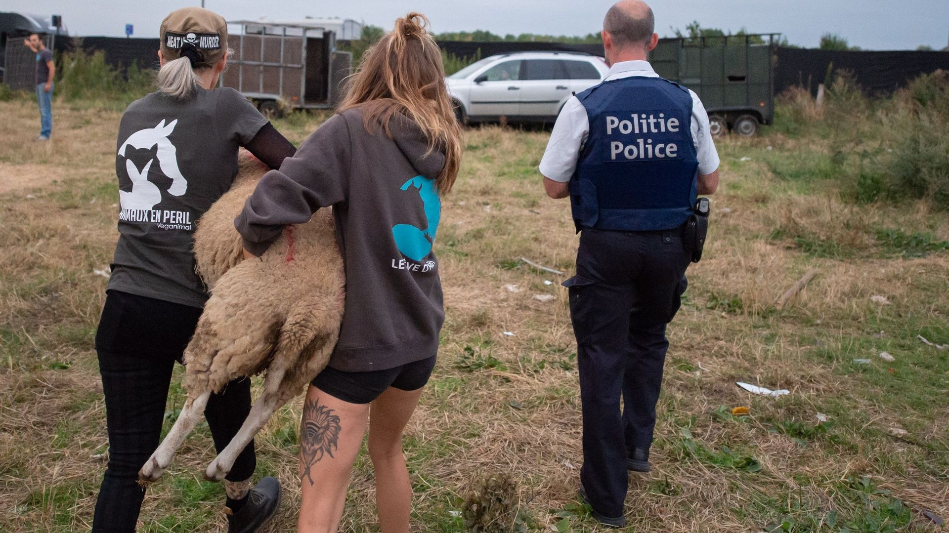Le propriétaires des moutons avait déjà été épinglé à plusieurs reprises pour des faits de maltraitance envers ses animaux