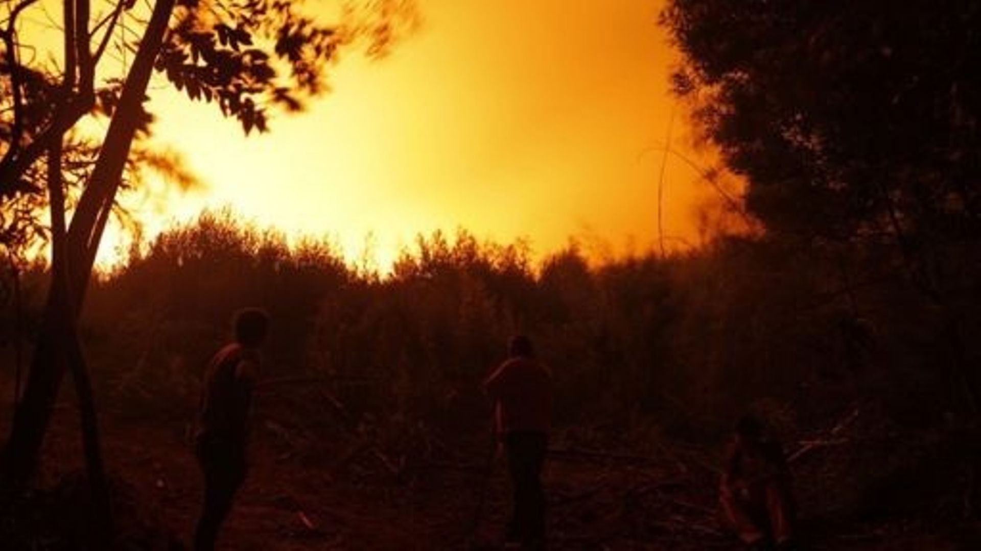Vue d'un incendie à Puren, dans la région d'Araucanie, au Chili, le 4 février 2023. Le Chili a déclaré l'état de catastrophe dans plusieurs régions du centre-sud après qu'une vague de chaleur dévastatrice a provoqué des incendies de forêt qui ont fait qua