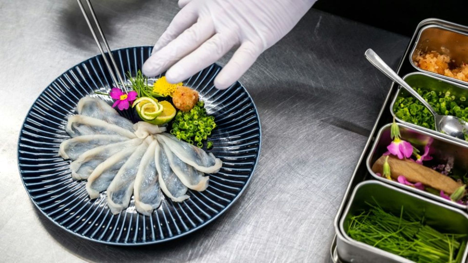Le fugu, poisson de l'espoir pour les pêcheurs de Fukushima.