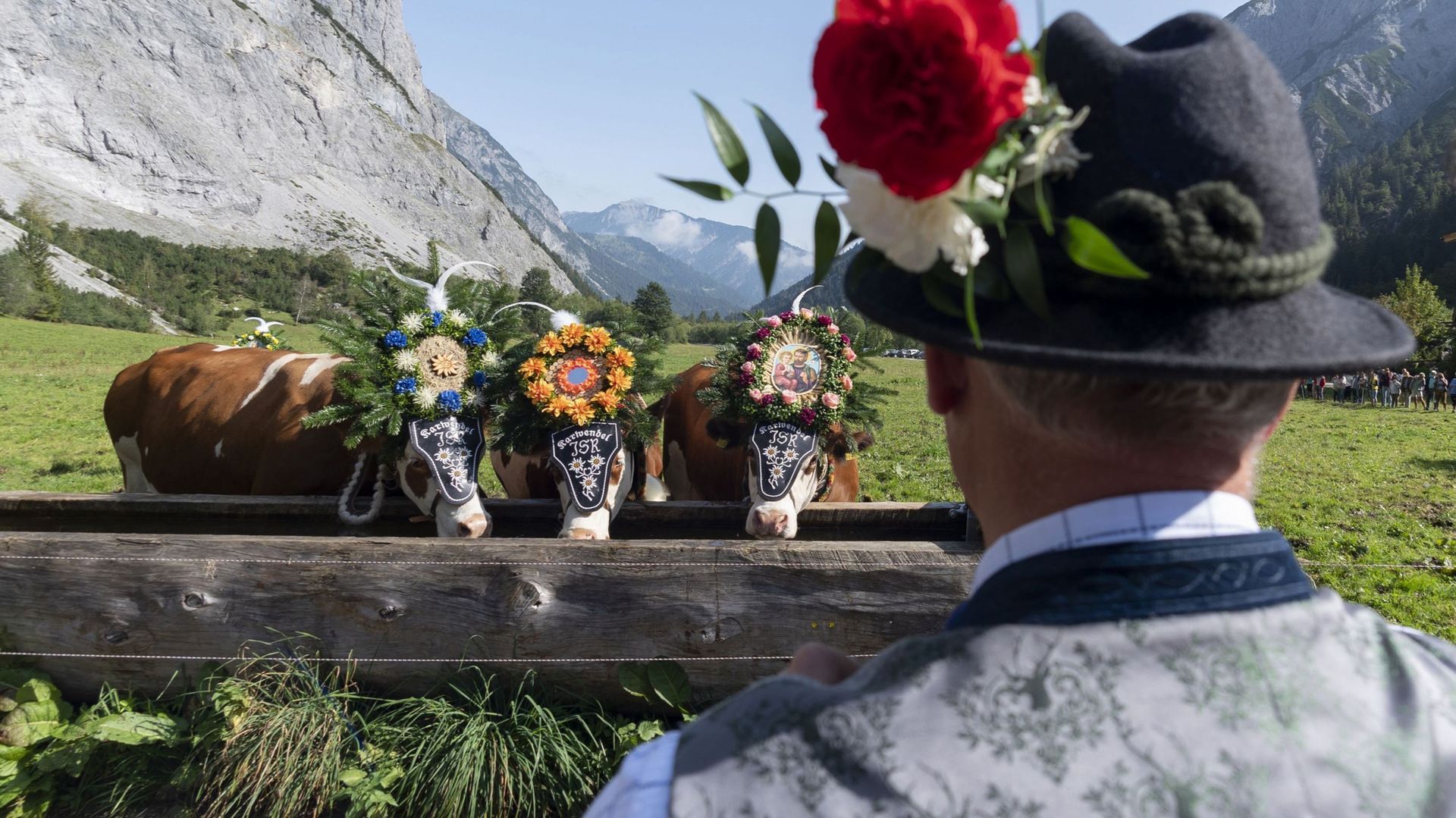 En Autriche, les alpages typiques du Tyrol risquent de disparaître