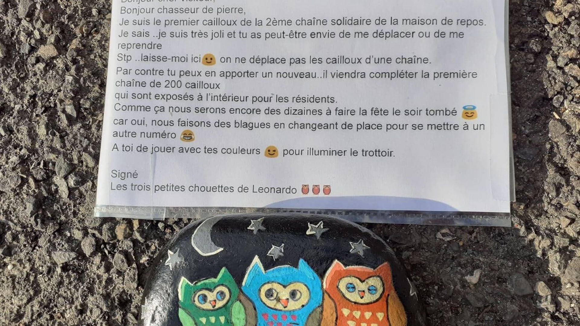 D couvrez la chasse aux pierres color es un nouveau jeu familial