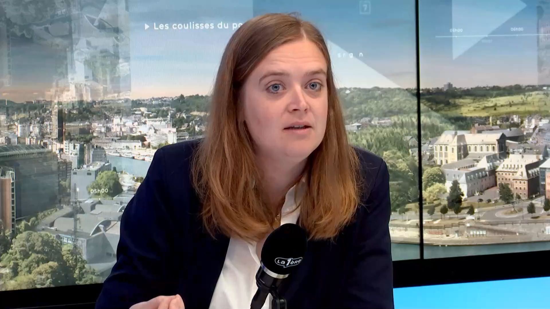 Plan pesticides : ‘On me dit à la solde des lobbies agricoles, ce n’est pas le cas’, se défend la ministre wallonne de l’Agriculture Anne Catherine Dalcq (MR) – RTBF Actus