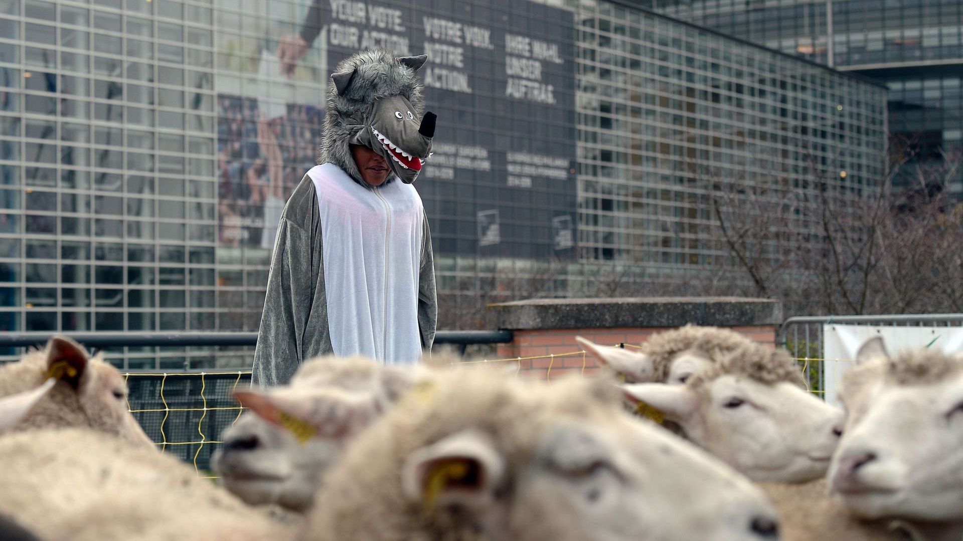 Des anti-loups à Strasbourg 