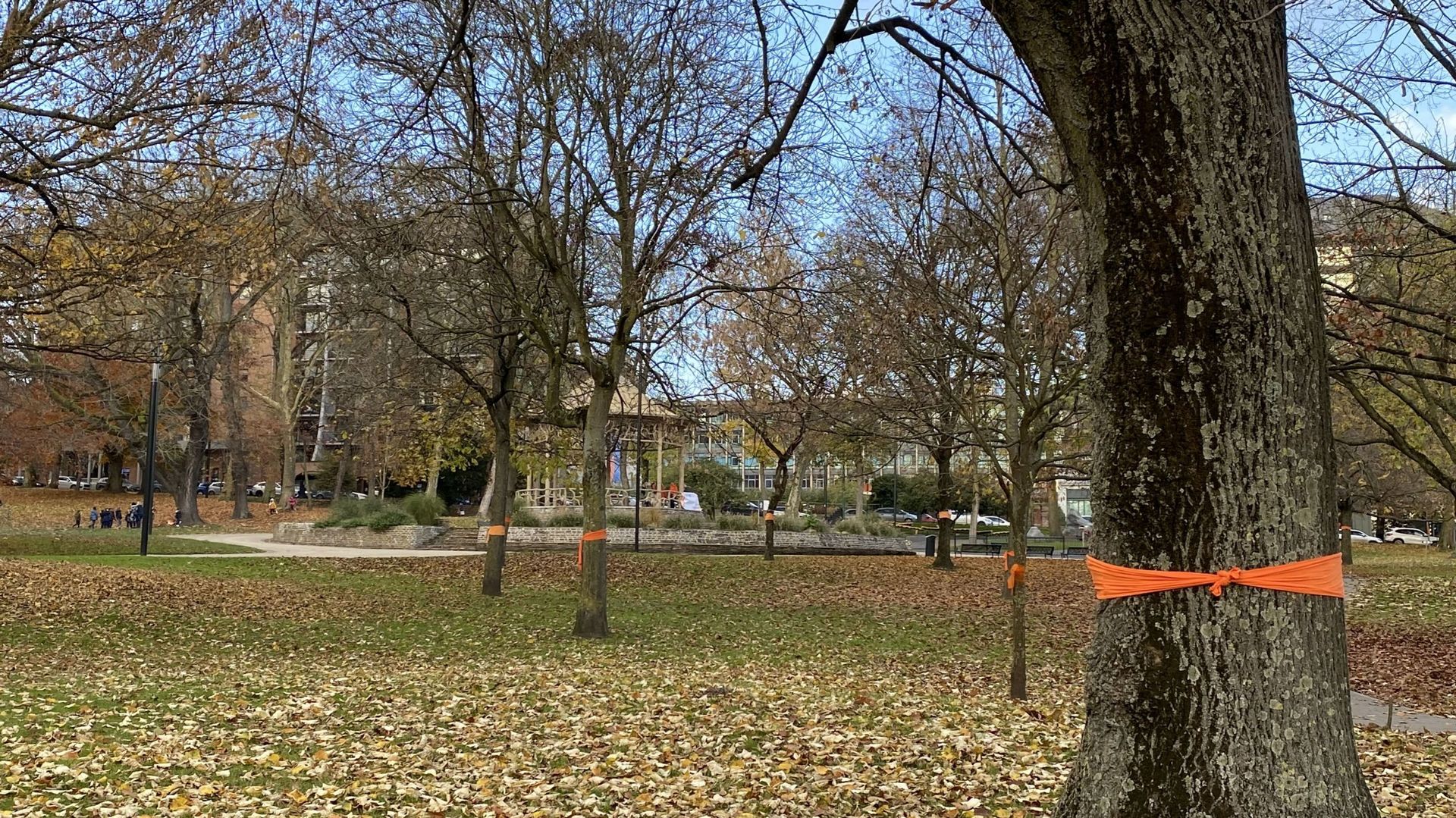 Les arbres du parc Reine Astrid décorés de tissus orange.