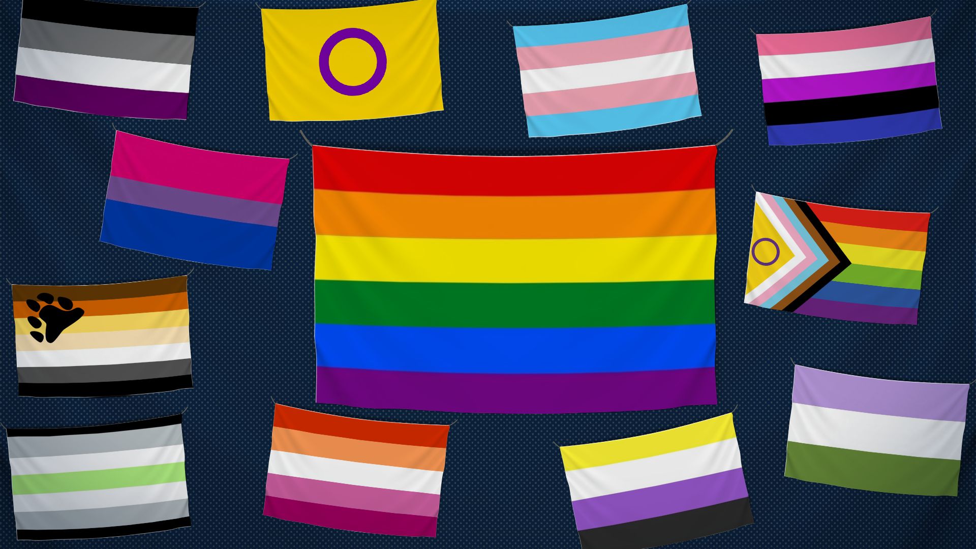 "Bear", "Lipstick", "Gender fluid" : connaissez-vous tous les drapeaux de la communauté LGBTQIA + et leurs significations ?
