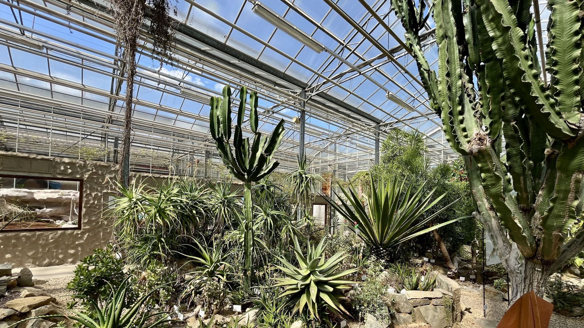 Les biomes de l’Observatoire du Monde des Plantes de l’ULiège : un voyage à travers différents climats de la planète