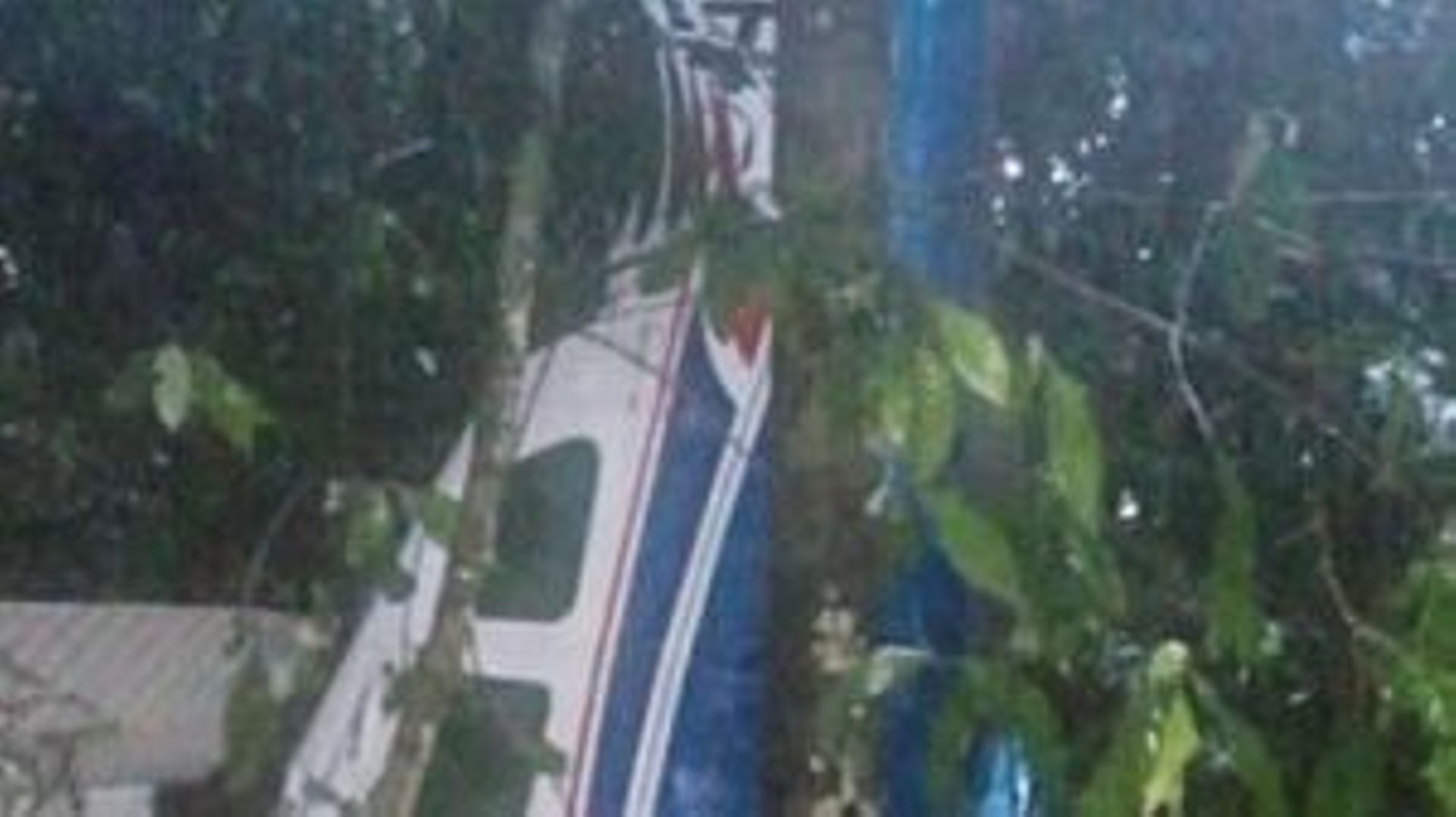 This handout picture released by the Colombian Army shows a crashed plane in the forest at a rural area of the municipality of Solano, department of Caqueta, Colombia on May 16, 2023. Rescuers found dead one of the passengers of a light aircraft that cras