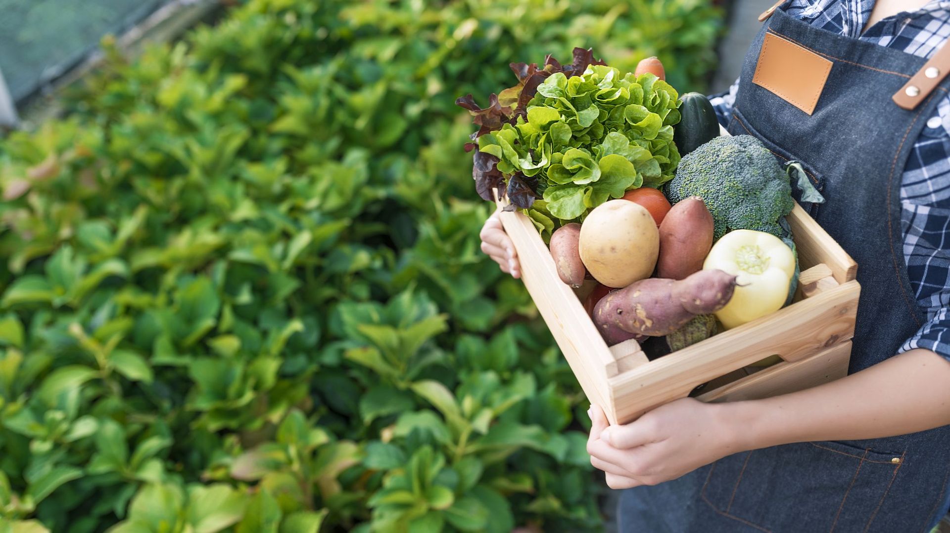 Retour vers le commerce local, bientôt la fin ?