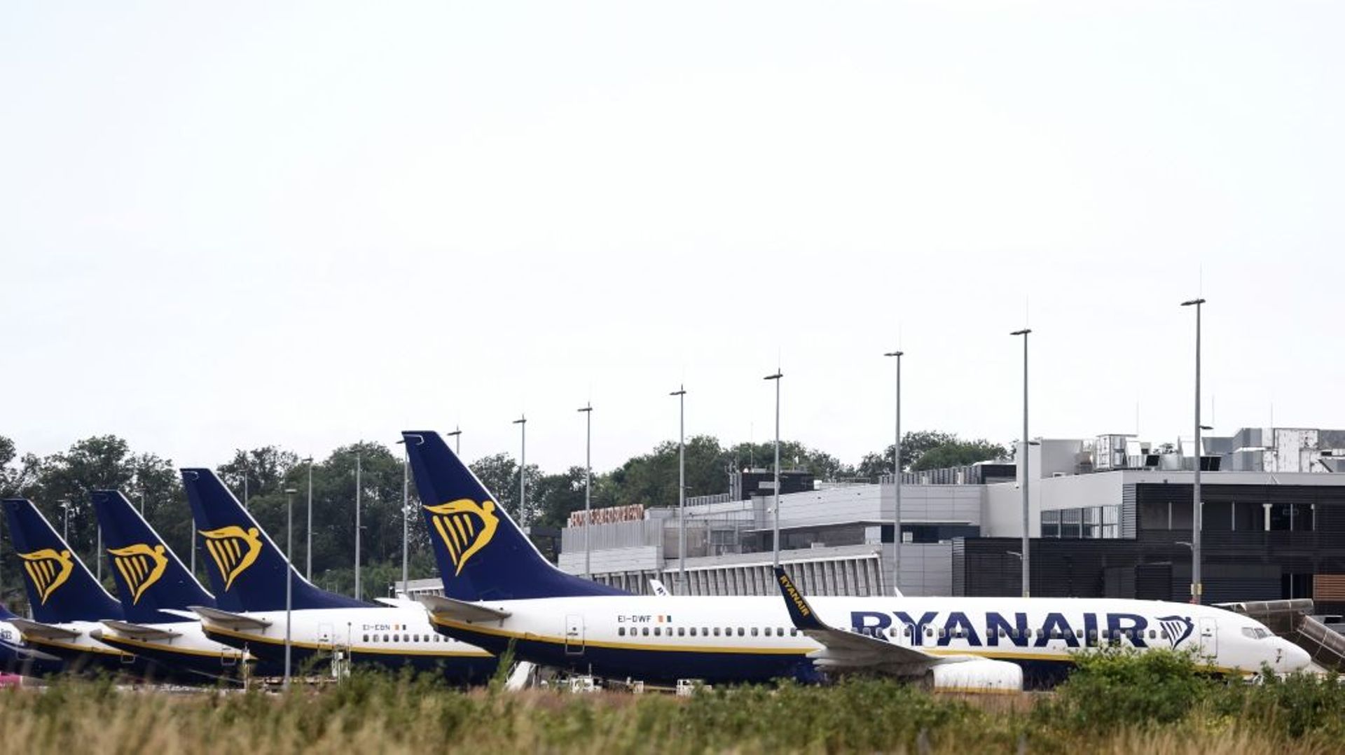 Des avions de la compagnie Ryanair à l'aéroport de Charleroi, le 24 juin 2022 en Belgique