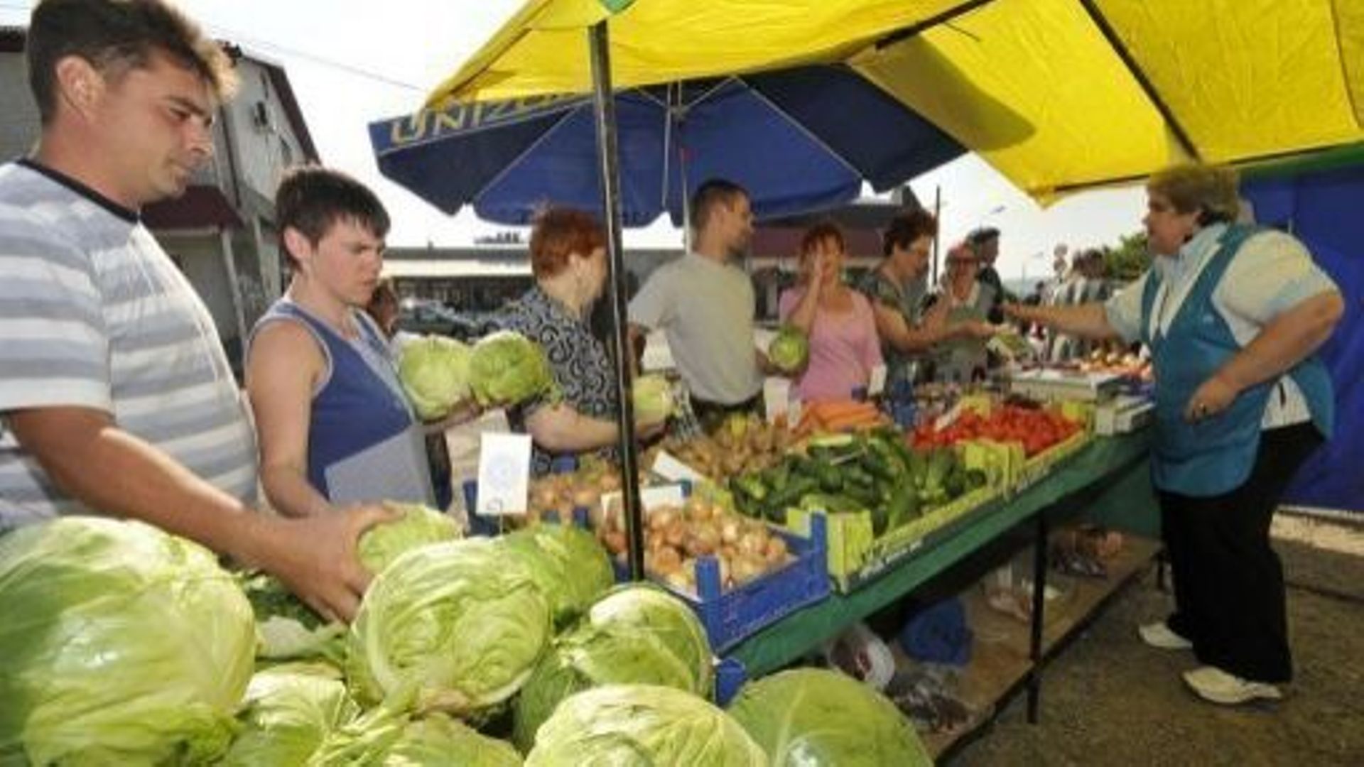 La Russie Reprend Les Importations De Légumes Des Pays-Bas Et De ...