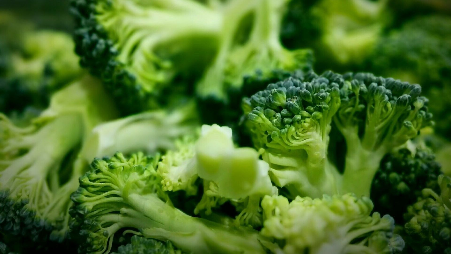 Le brocoli et son pouvoir nourrissant.