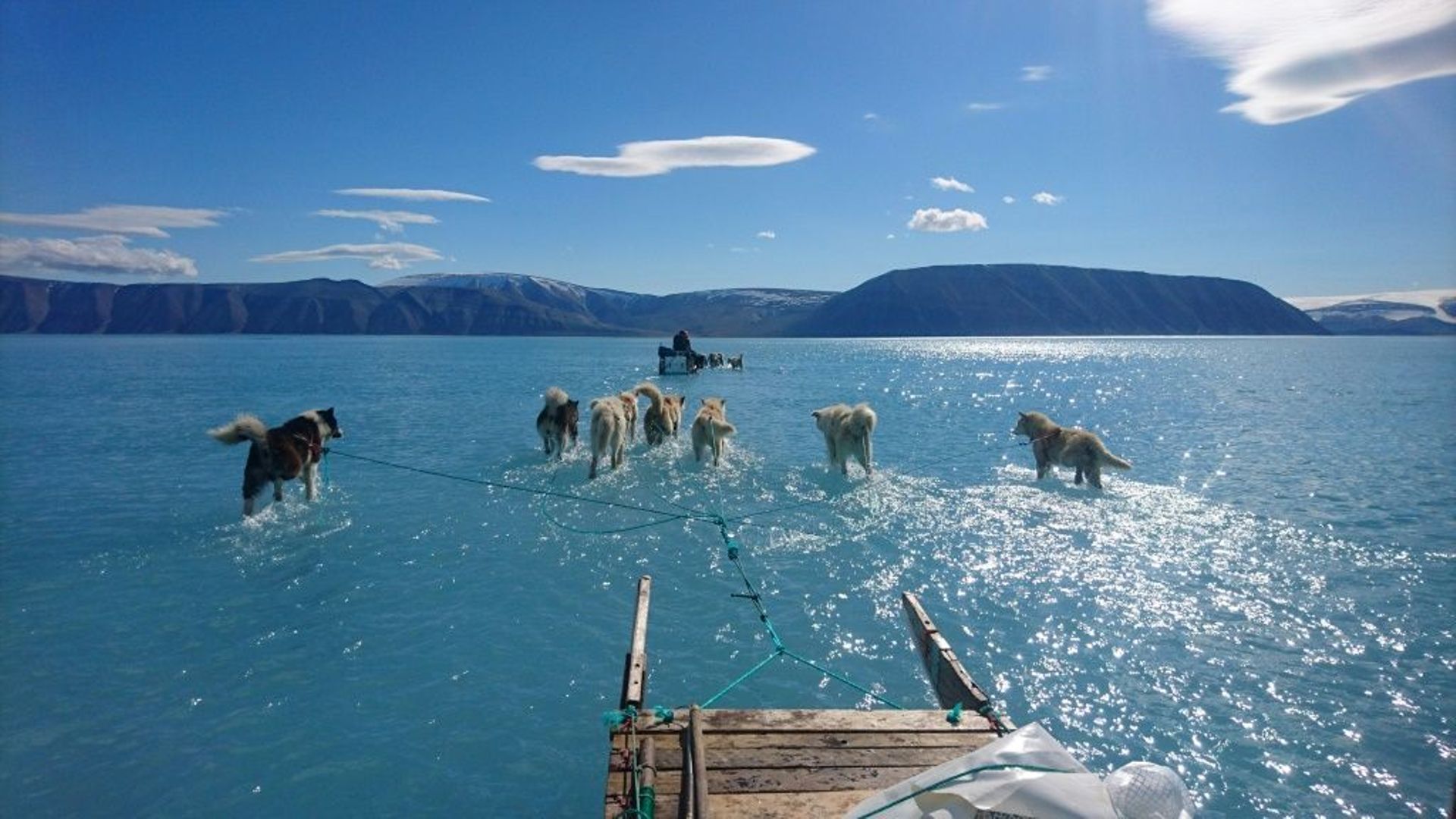 Photo d'archives, prise le 13 juin 2019 par Steffen Olsen du Centre pour l'Océan et le Pôle de l'Institut Météorologique Danois, montrant des chiens de traîneau progressant péniblement dans un fjord dont la banquise est recouverte par cinq ou six centimèt