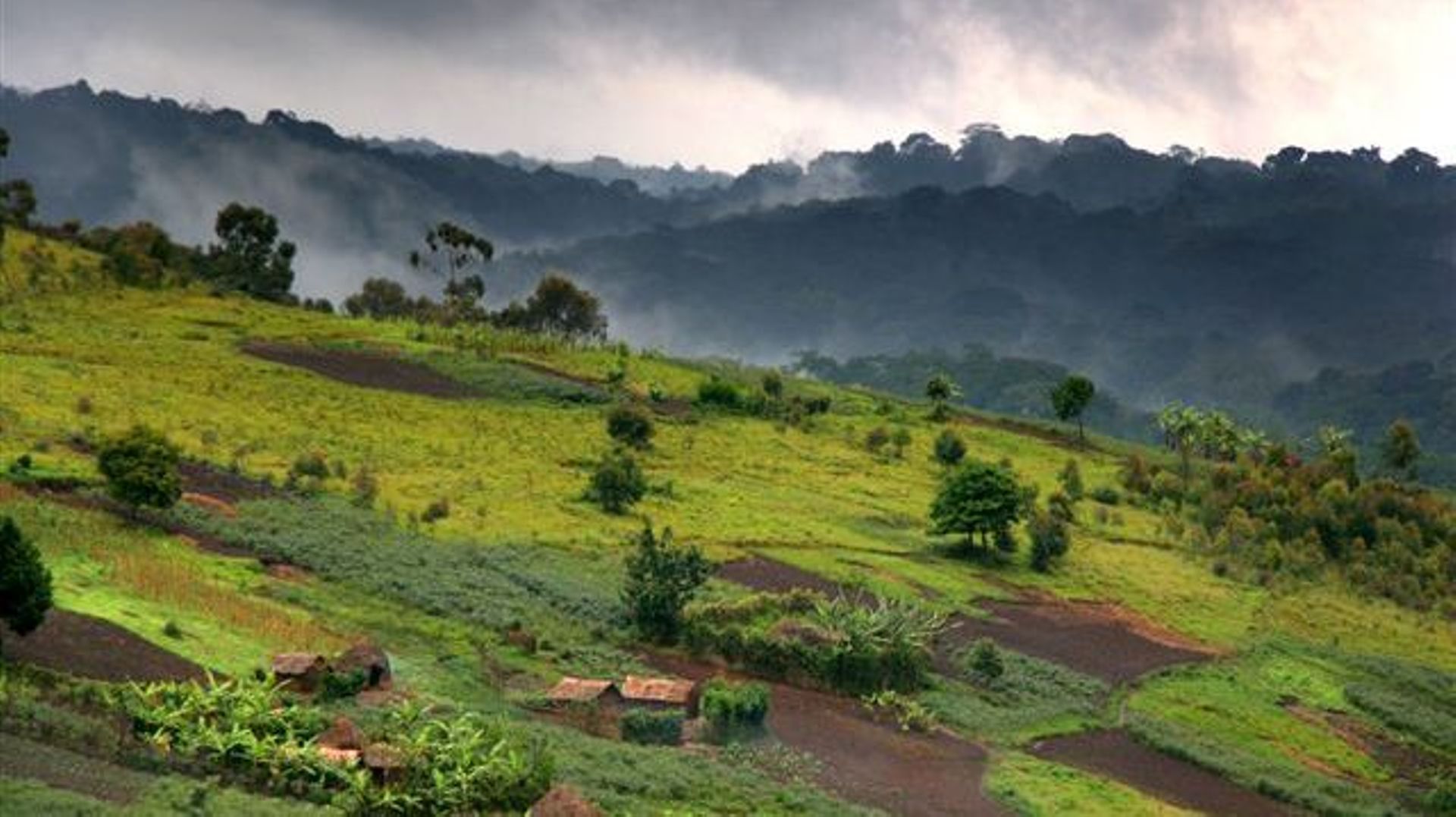Le Kivu