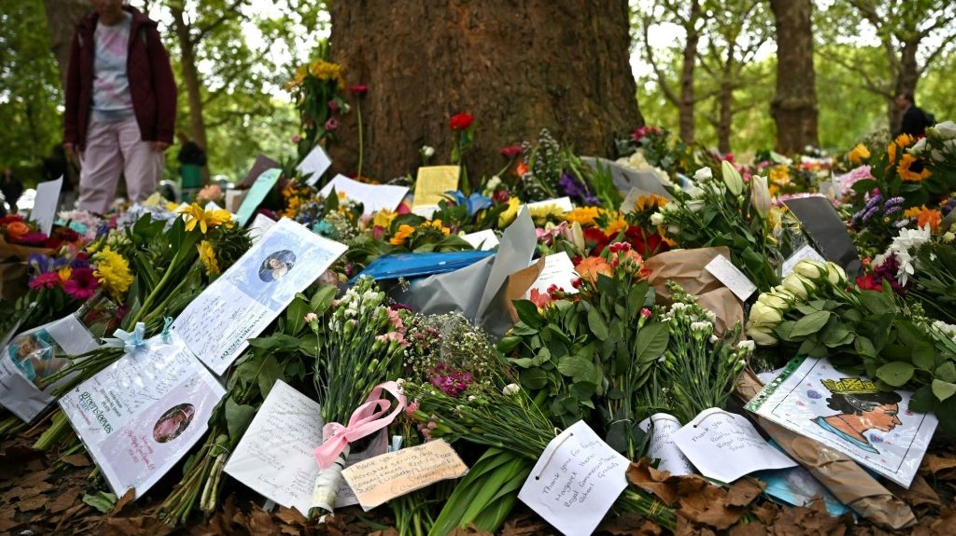 Fleurs et hommages au pied d’un arbre à Green Park à London le 15 septembre 2022