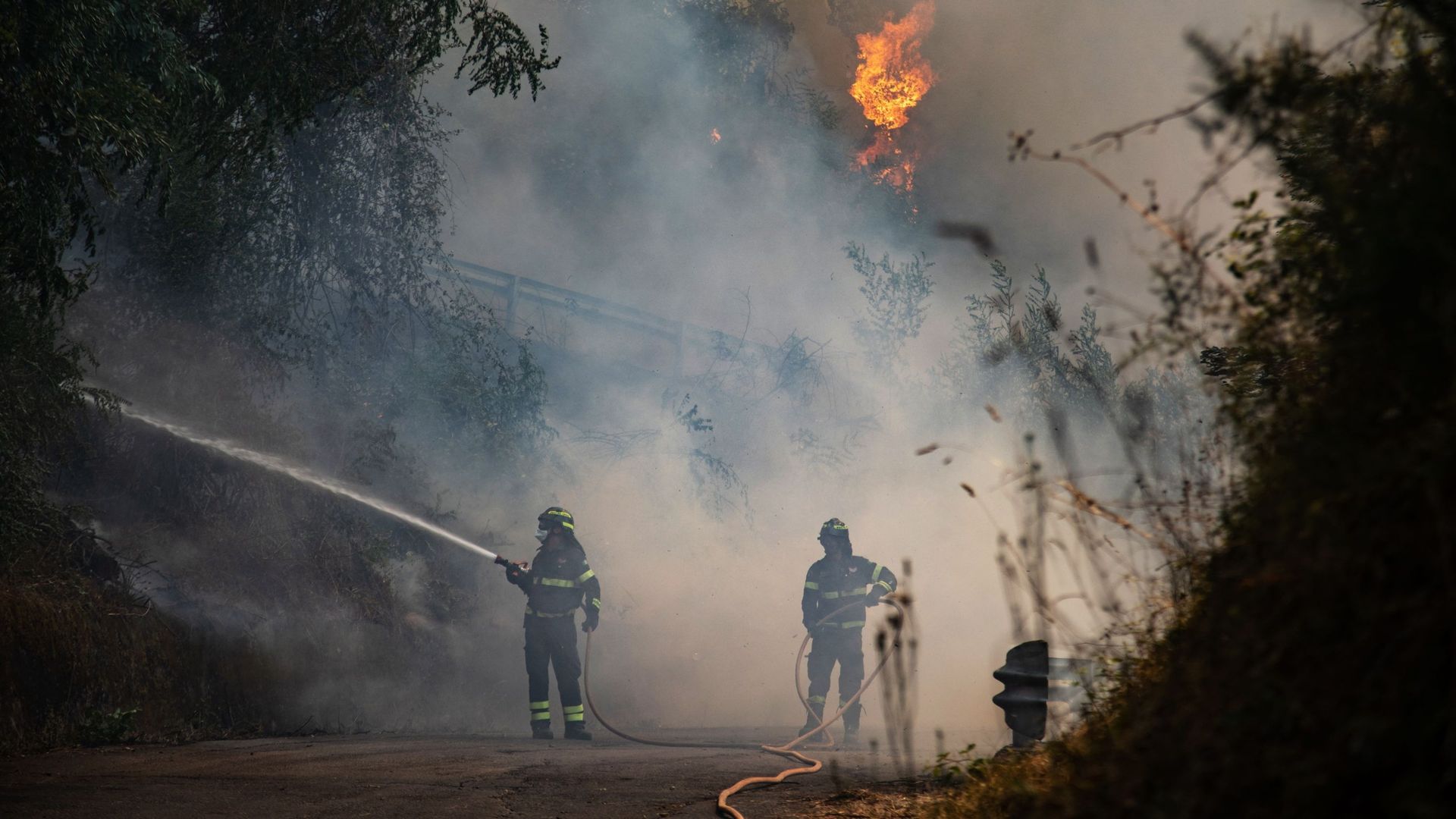 Incendie à Massarosa dans le centre de l’Italie, le 20 juillet 2022.