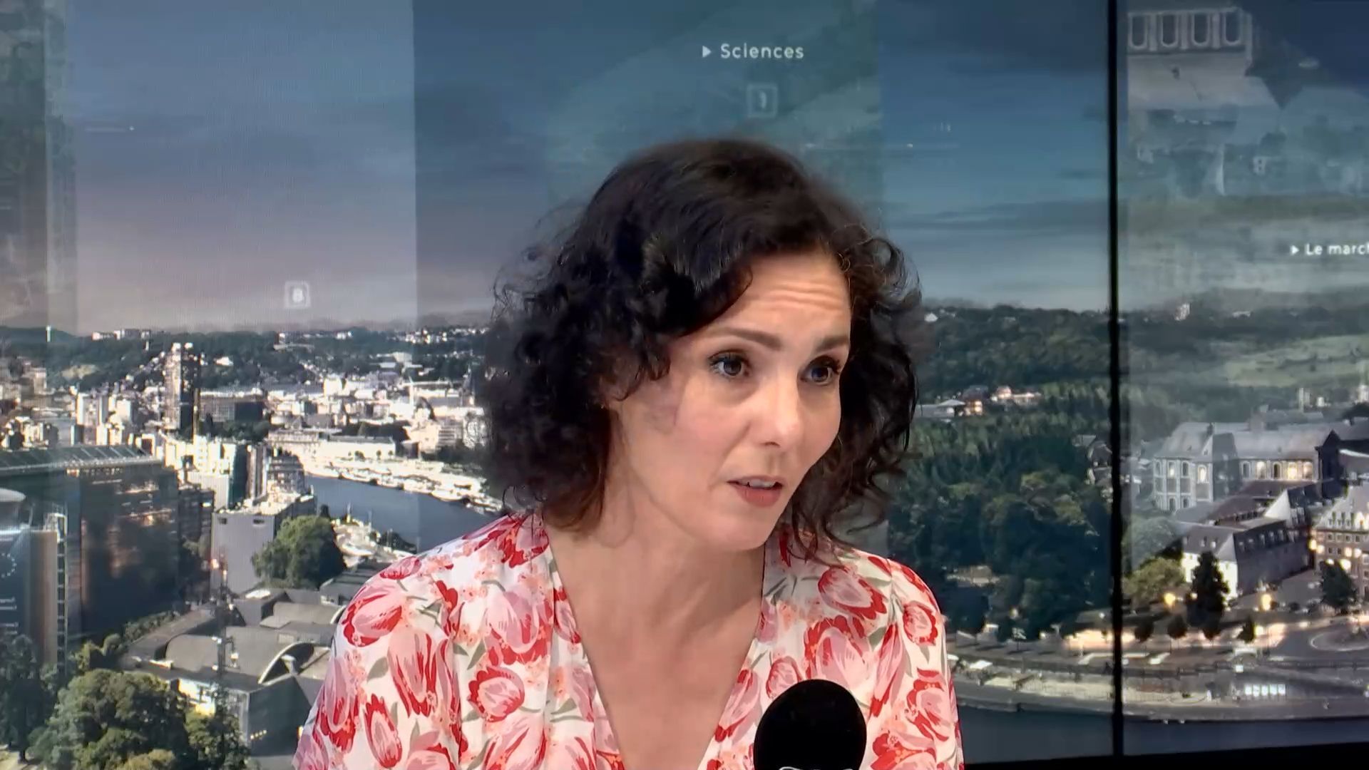 L’annulation de la conférence du professeur Bichara Khader à Waterloo