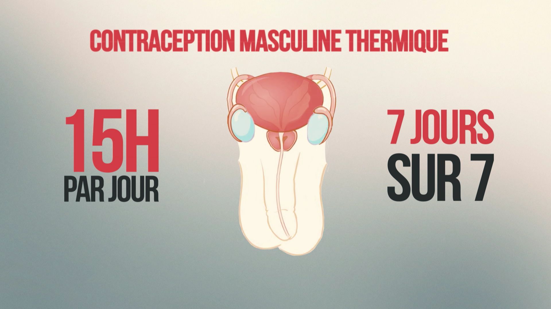 La contraception masculine thermique.