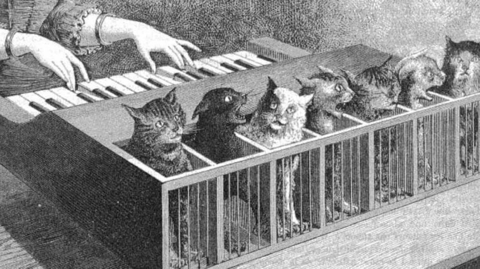 La légende de l’orgue à chat, terrible instrument de torture aux vocations de thérapie psychiatrique ?