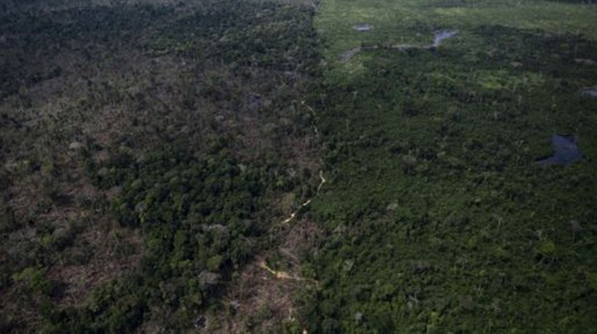 Un quart de l'Amazonie irréversiblement détruite, avertissent des chefs indigènes