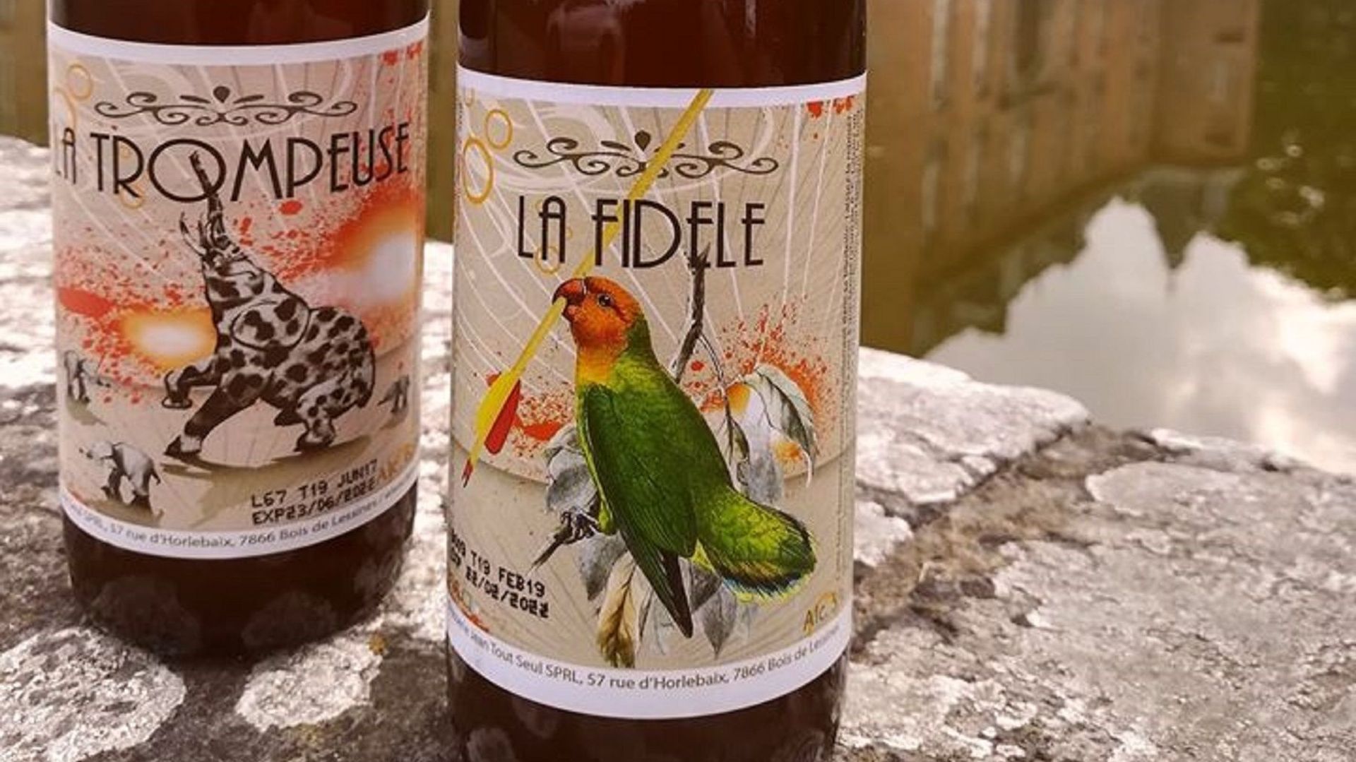 Vous recherchez un cadeau original pour la Saint Valentin ? 