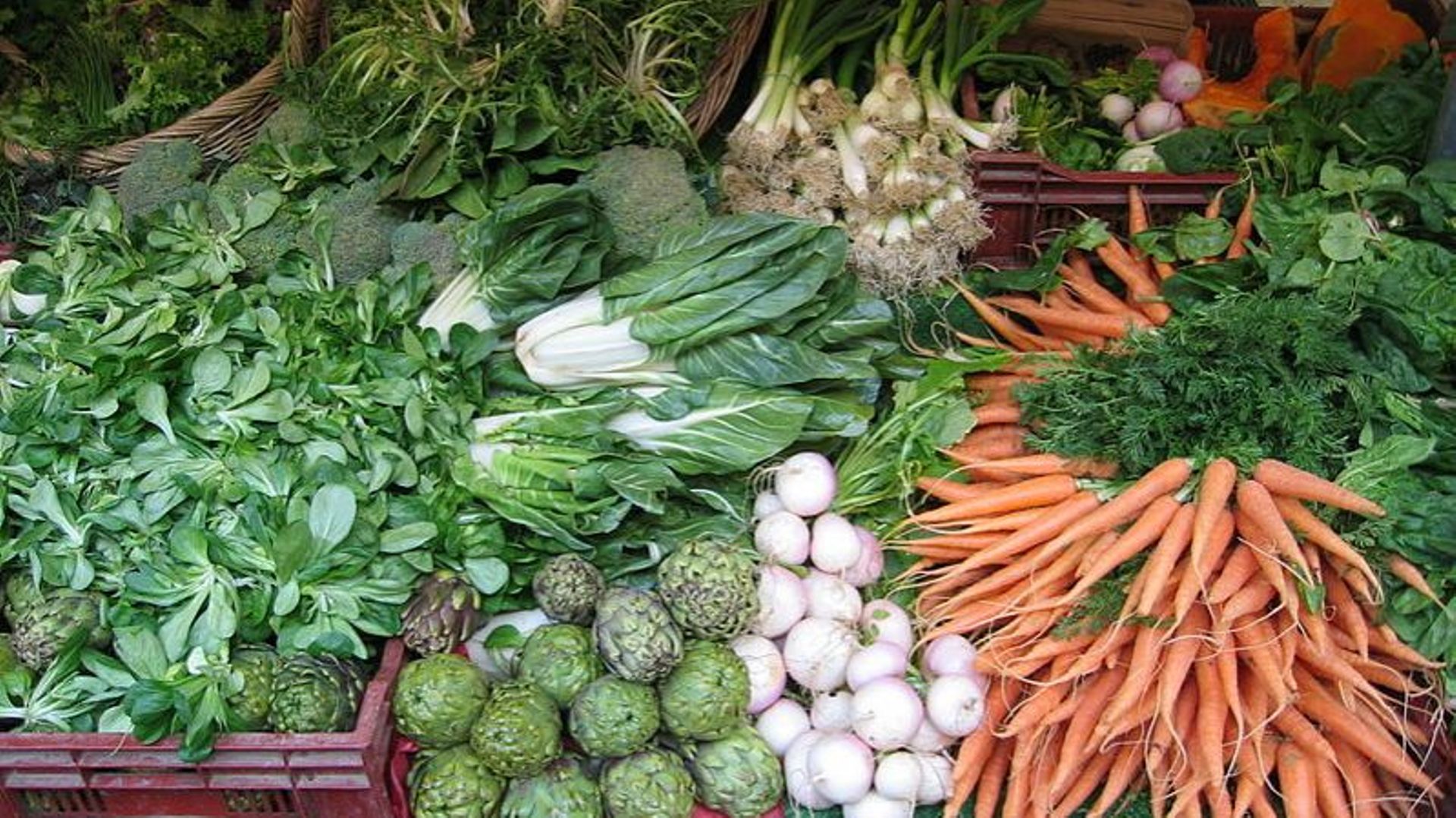 Venez découvrir Como en casa, un restaurant végétarien ! 