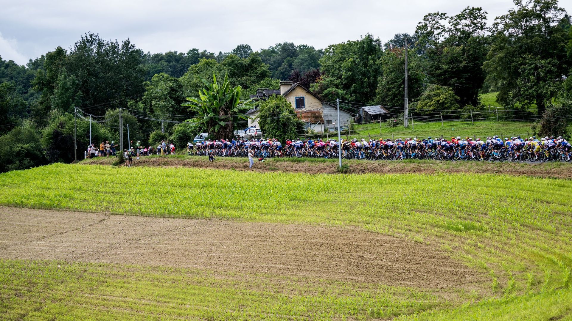 Exploring the Vineyards: Tour de France Stage 12 Takes on the Beaujolais Crus