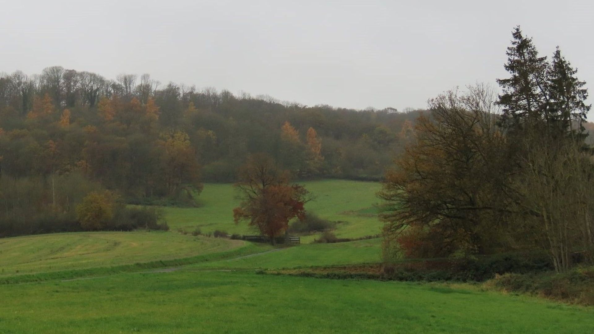 Du vert et du gris à Anhée