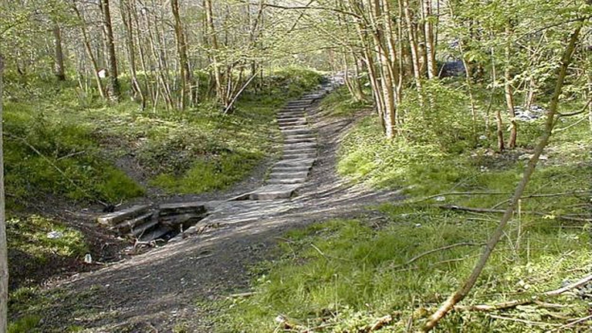 Petit pont dans le Bois de Colfontaine permettant le passage des piétons sous le chemin de fer
