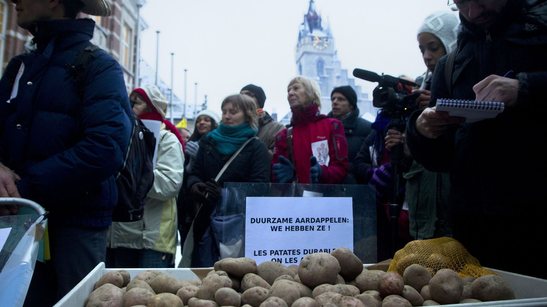 Termonde: le procès des arracheurs de patates deviendra-t-il celui des OGM?