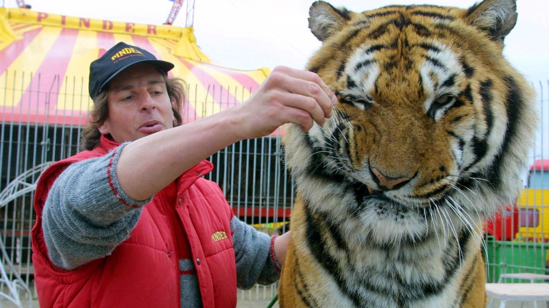 Sans animaux sauvages, l'European Circus Festival de Liège est à la peine