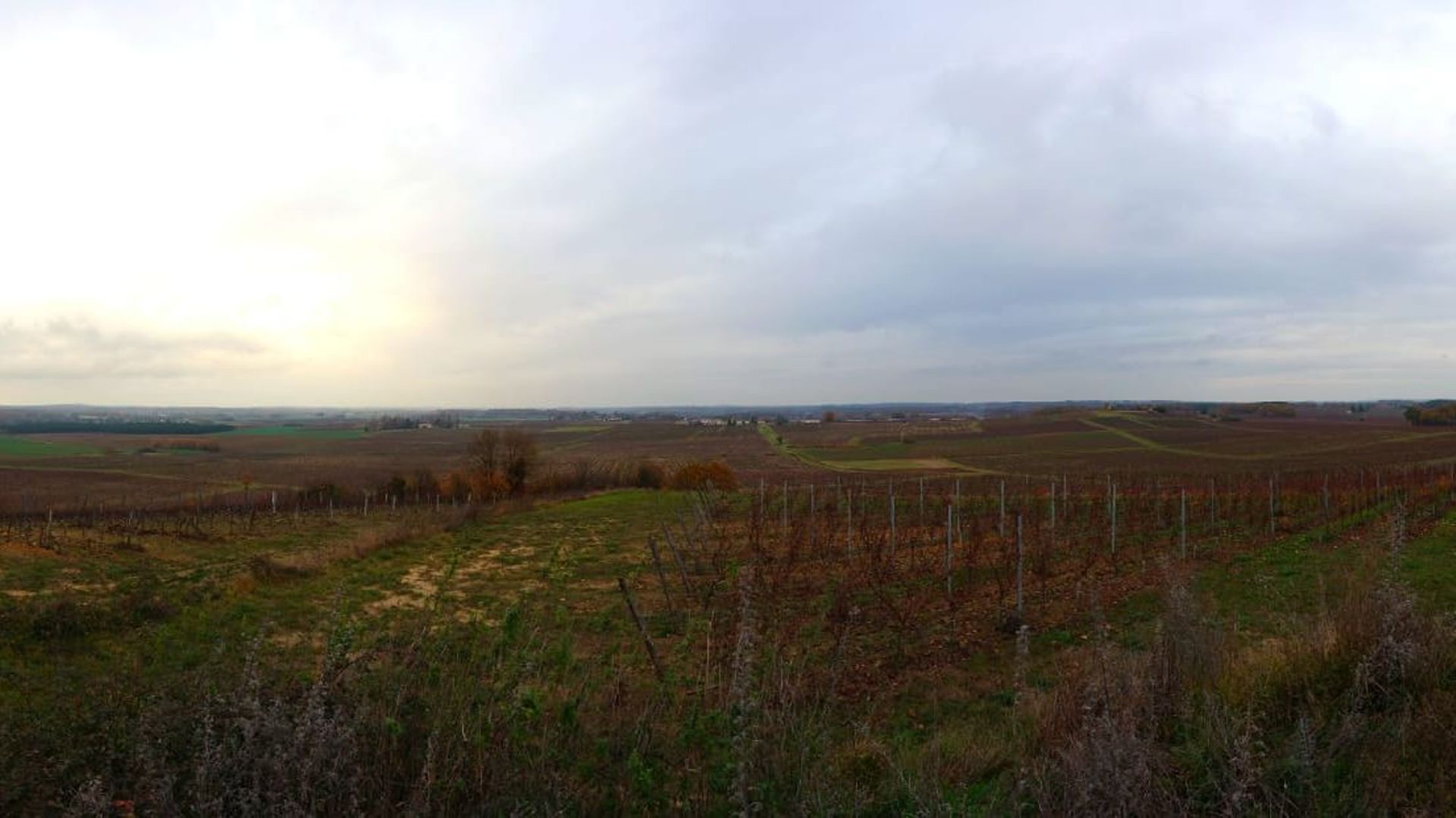 Sur le domaine du Château Roquefort, Samuel Mestre va planter 4000 pieds de vignes.
