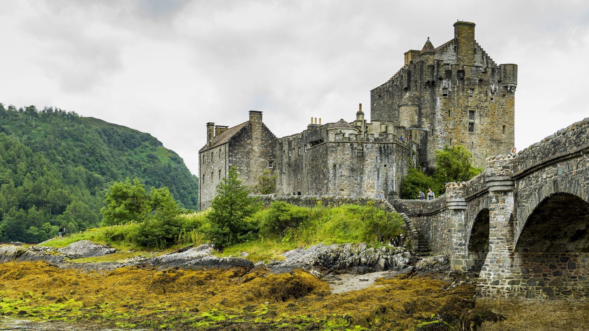 Les châteaux des Croisés le mystère de leur construction et leur