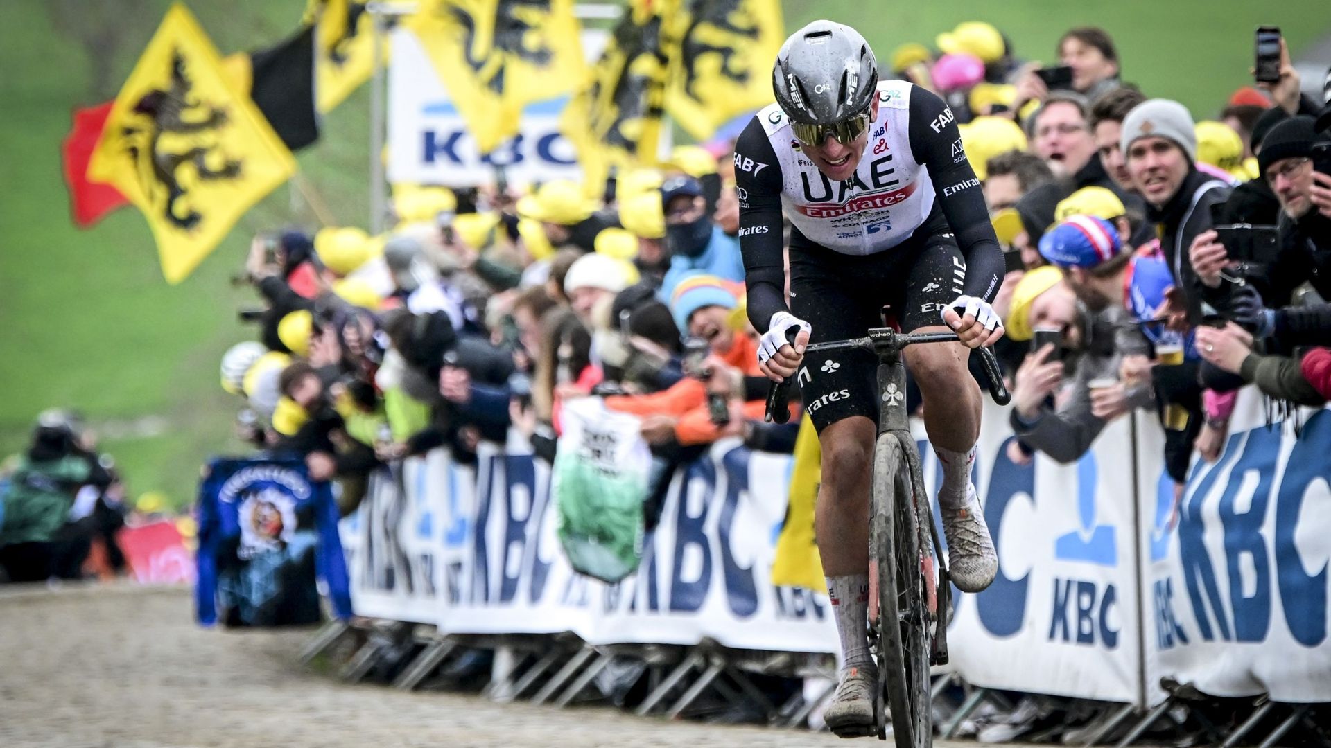 Cyclisme : Tadej Pogacar file vers la victoire sur les pavés du Tour des Flandres 2023. Cela fait 12 ans qu'un coureur flamand n'a plus remporté le Ronde. Le dernier en date est Tom Boonen, c'était en 2012. 