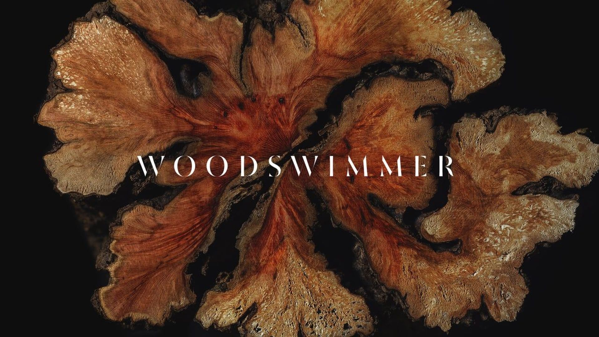 WoodSwimmer : le court qui envoie du bois