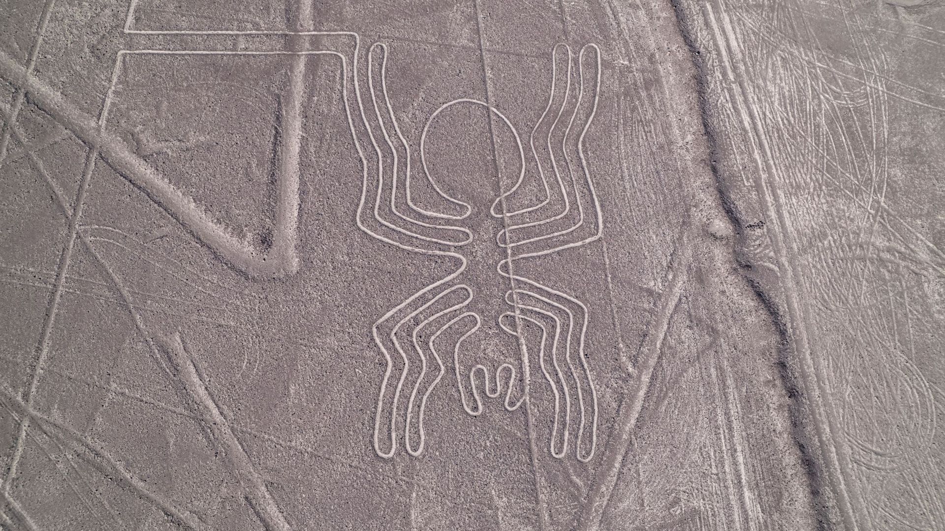 Les géoglpyhes de Nazca sont visibles seulement depuis un point d’altitude.