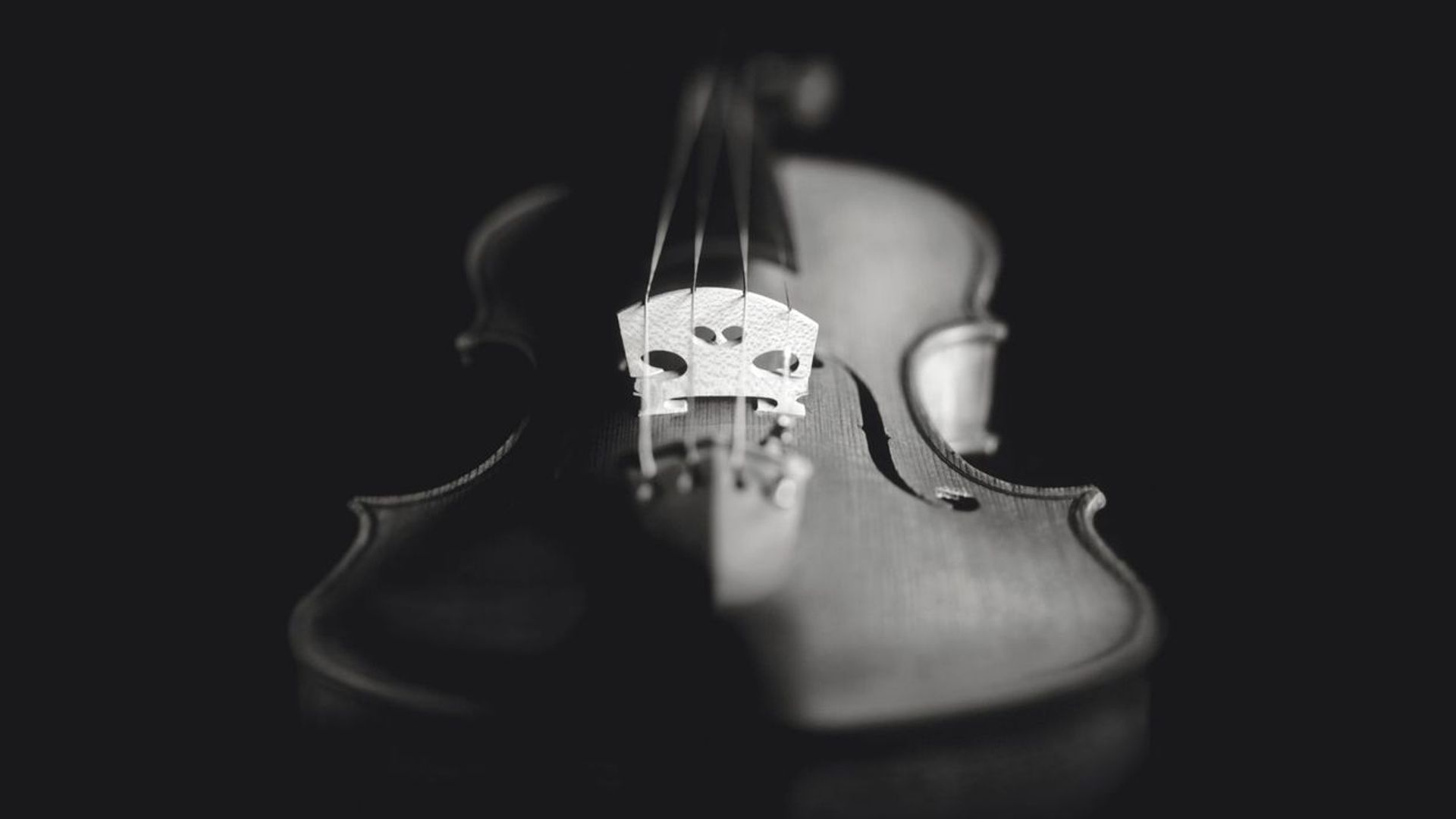 Concours Reine Elisabeth, édition violon 2019 la vente des