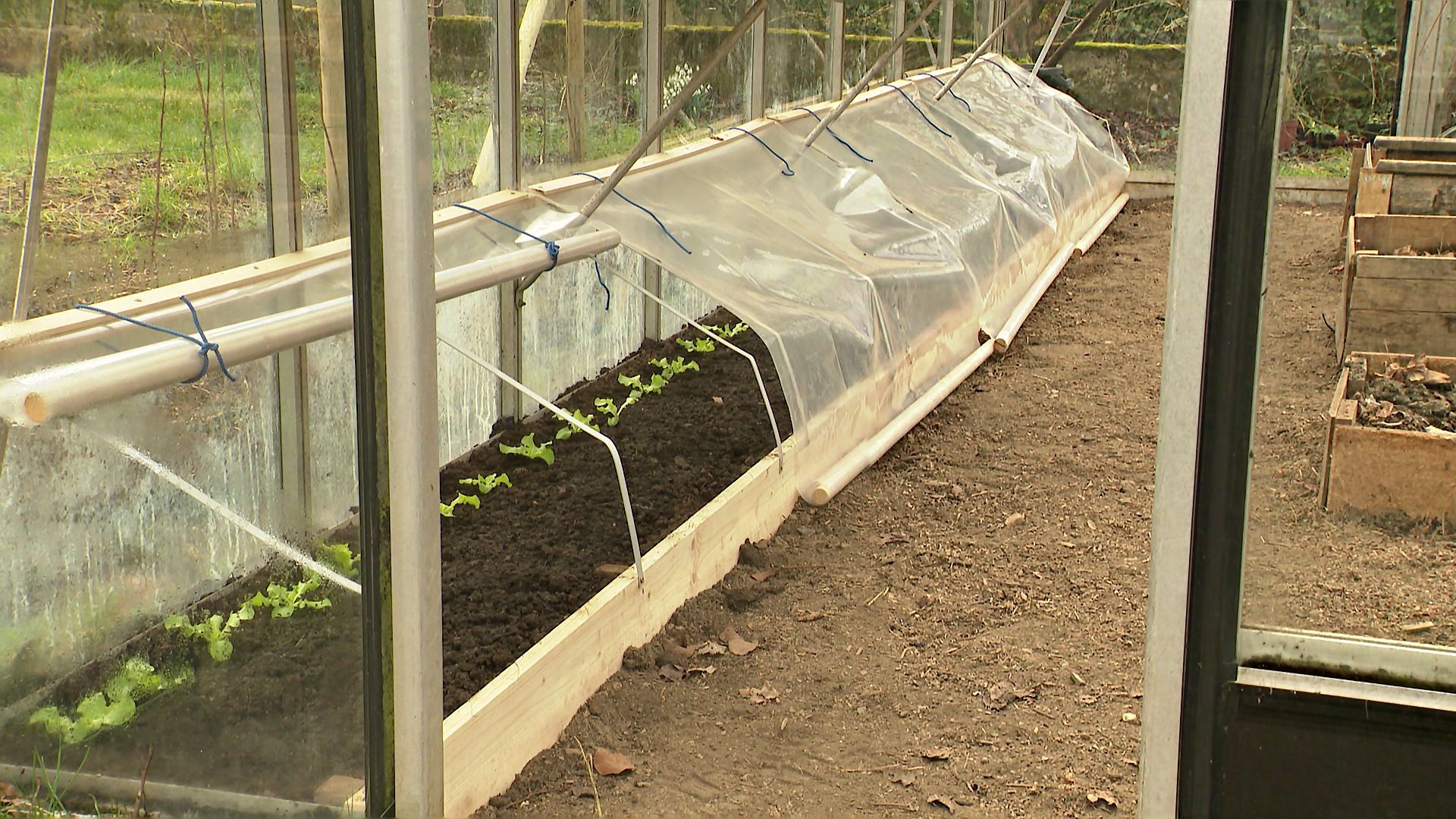 Construction d'une mini-serre dans la serre pour débuter précocement la culture de légumes.