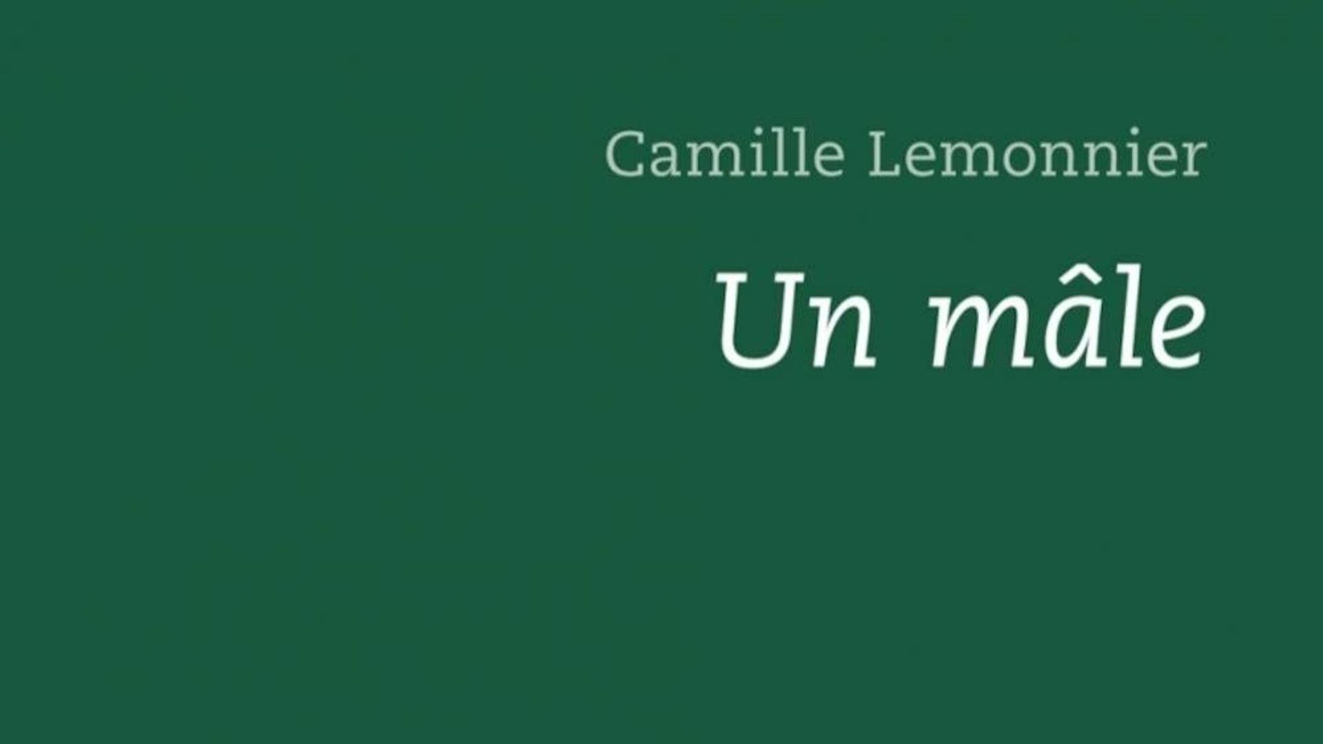 "Un Mâle", Espace Nord, 2012.