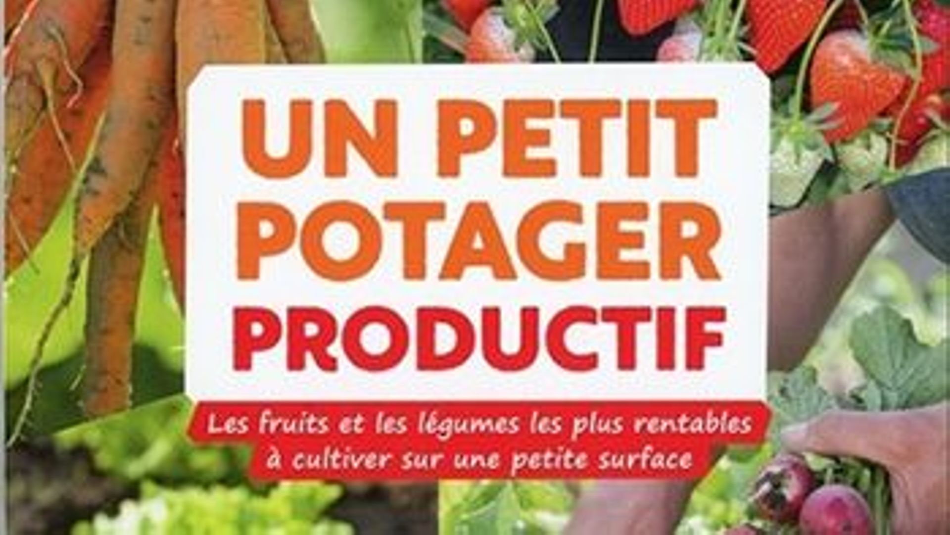 "Un petit potager productif" de Rodophe Grosléziat aux éditions ULMER