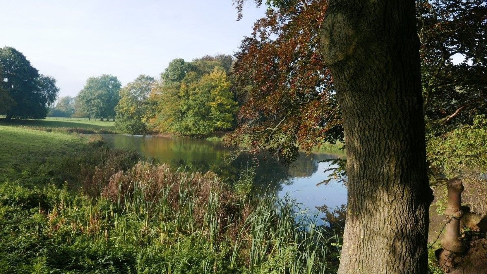 Vue sur un des étangs du parc paysager (2019)