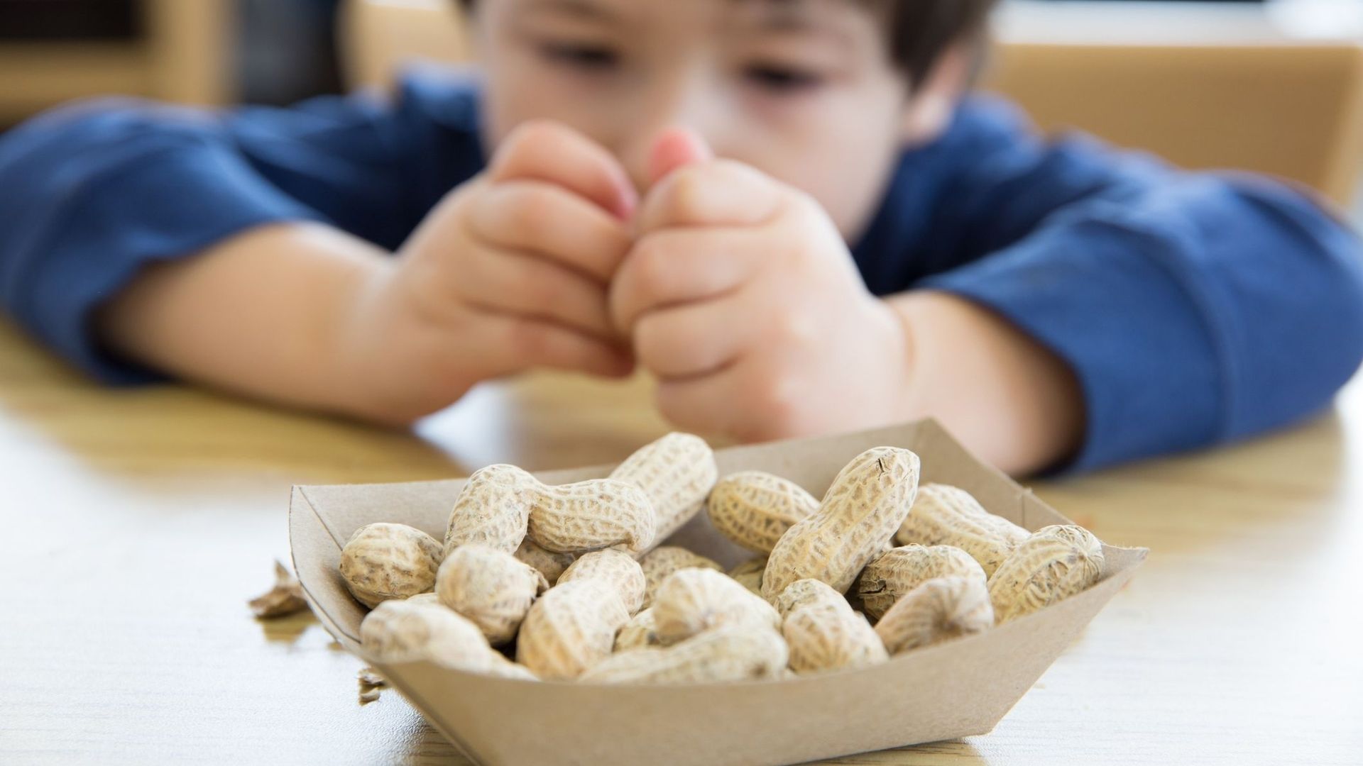 Allergie à la cacahuète : habituer les tout-petits, une piste prometteuse.