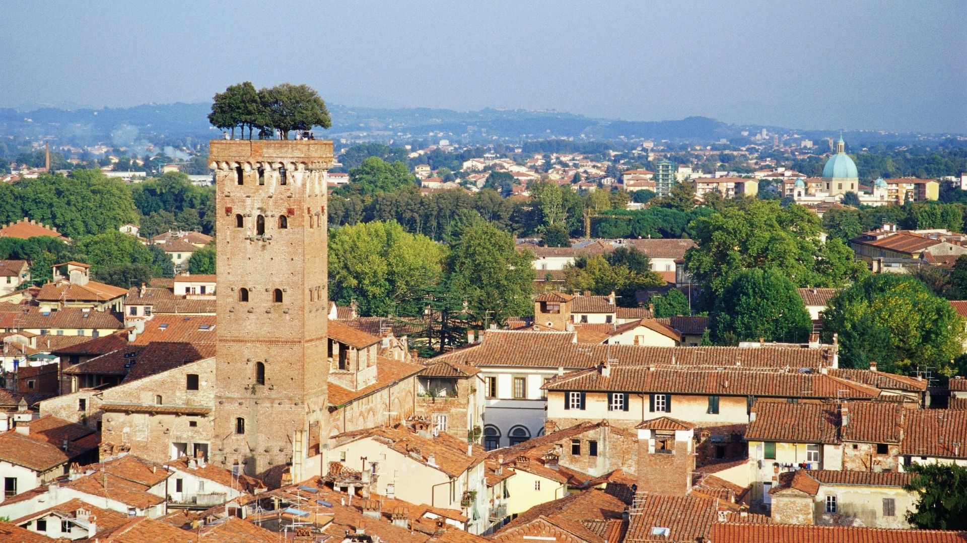 Italy, Tuscany, Lucca, cityscape and Torre Guinigi