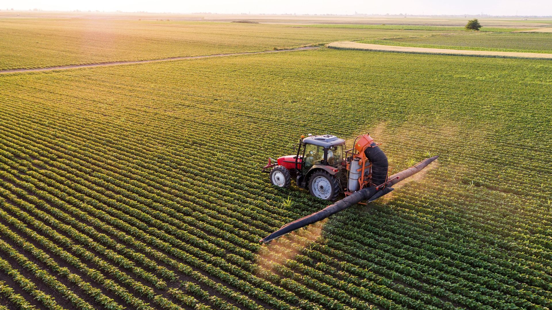 La Belgique, septième pays au classement des exportations de pesticides interdits en Europe