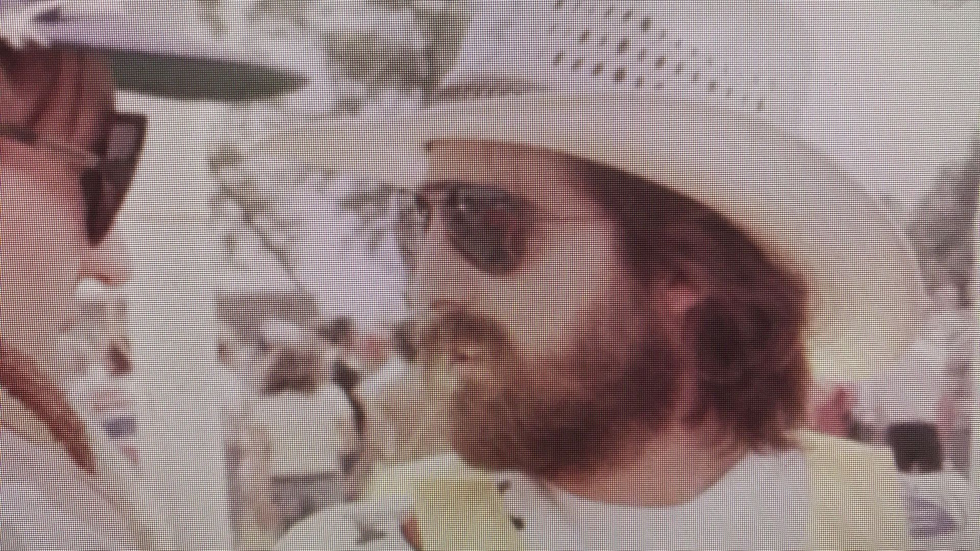 Un cliché extrait de la vidéo d'époque! Chapeau de cowboy et lunettes derrière lesquels se cachait une grande fragilité pour Brad Lackey en ce mois d'Août 1980!