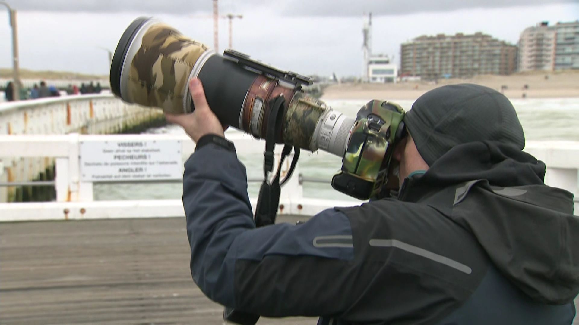 De Belgique et de l’étranger, des centaines de photographes et d’ornithologues viennent l’observer à Nieuport.