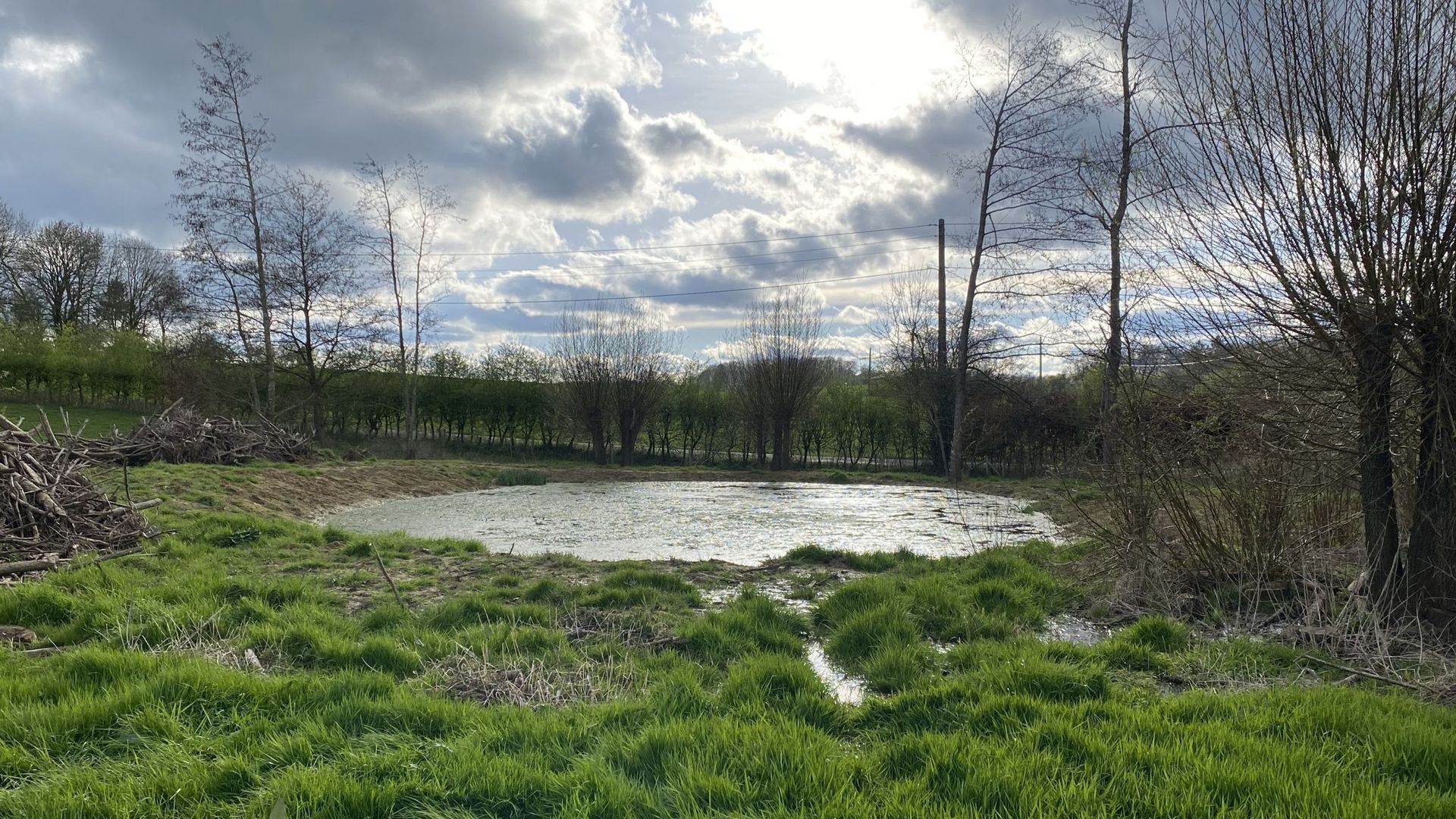 Création de mares en milieu agricole pour restaurer la biodiversité : la mission de Natagora a pris fin avec l’arrêt des subsides wallons – RTBF Actus