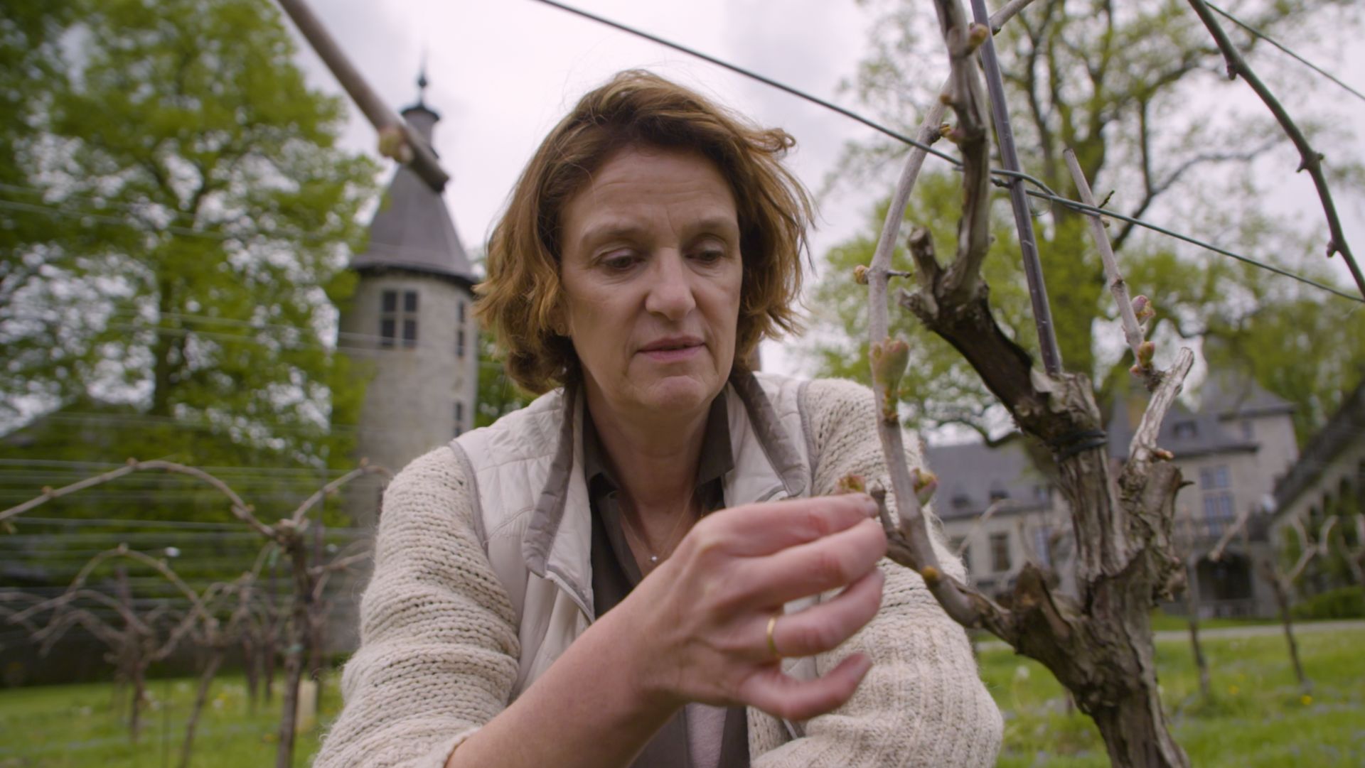 Les Belges Histoires, Vanessa Wyckmans Vaxelaire :  amour, vin et ténacité !